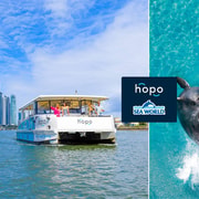 Gold Coast: Sea World Cruise & Entry Combo Ticket