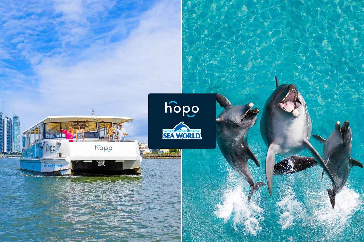 Gold Coast: Sea World Cruise & Entry Combo Ticket - Gold Coast: Sea World Cruise & Entry Combo Ticket