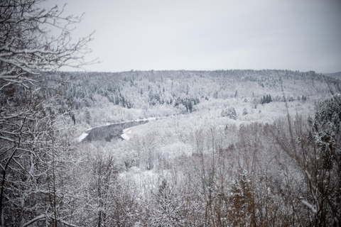 Sigulda: Walk in Gauja National Park with Photoghrapher 1-3 person private tour