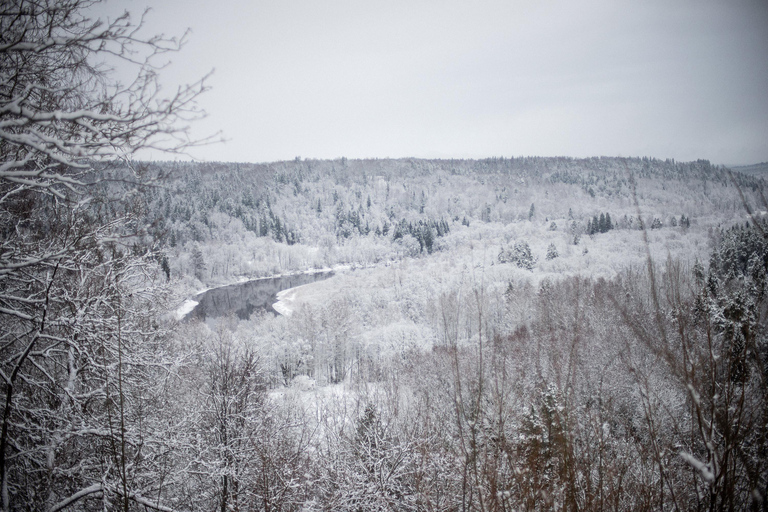 Sigulda: Walk in Gauja National Park with Photoghrapher 1-3 person private tour