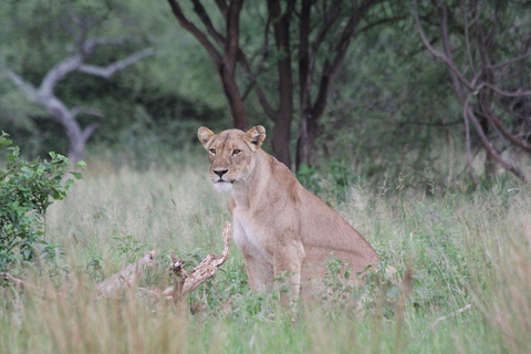 Tarangire National Park Day Trip