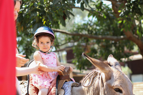 Promenade à dos d&#039;âne pour les enfants