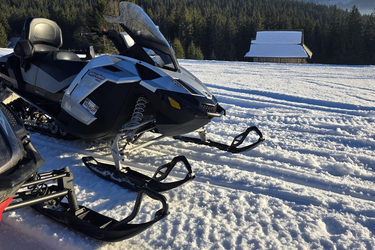 Zakopane: Snowmobile, Sleigh Ride, & Thermal Pools Tour