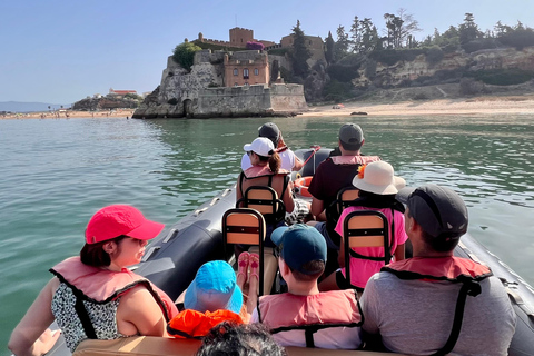 De Portimão : Observation des dauphins et du littoral de Lagos avec un biologiste