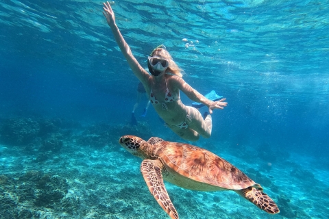Snorkeling around 3 island & visit baby turtles