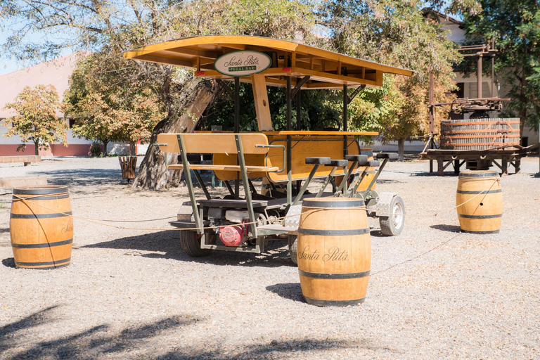 Santa Rita : Dégustation de vin Ultra Premium, visite et transport