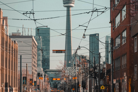 Toronto: Private 4-Hour Sightseeing Tour with Guide