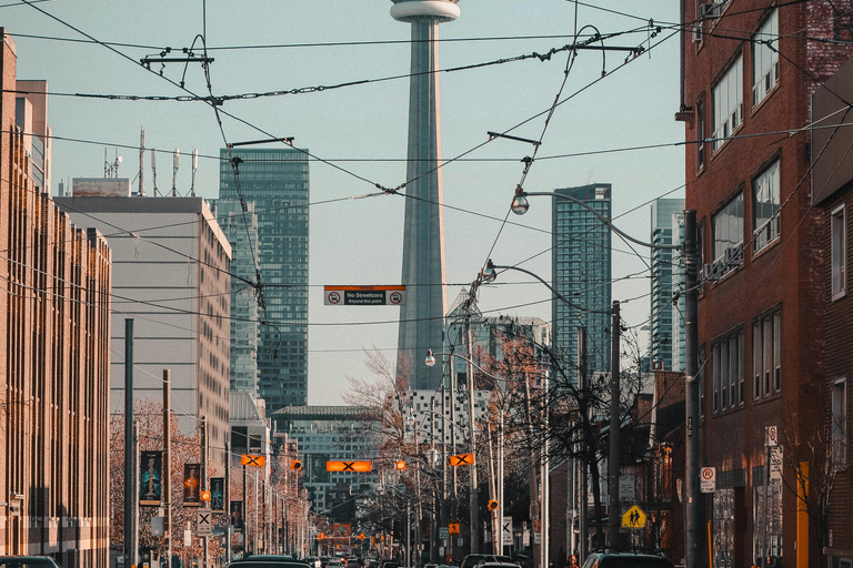 Toronto: Private 4-Hour Sightseeing Tour with Guide