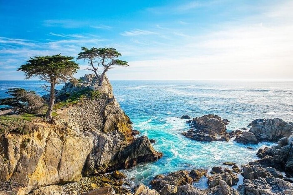 Il meglio della penisola di Monterey e Carmel-by-the-Sea tour per piccoli gruppi