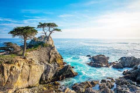Best of Monterey Peninsula & Carmel-the-Sea Small Group Tour