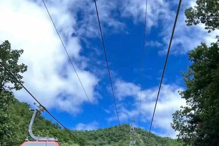 Beijing: Mutianyu Great Wall Combo Pass - Ride & Slide