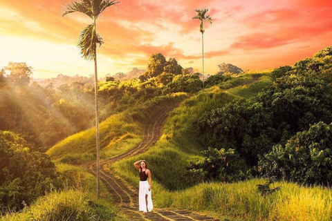 Ubud: Temple, Waterfall, Rice Terrace, Ubud Market & Palace Without entry tickets