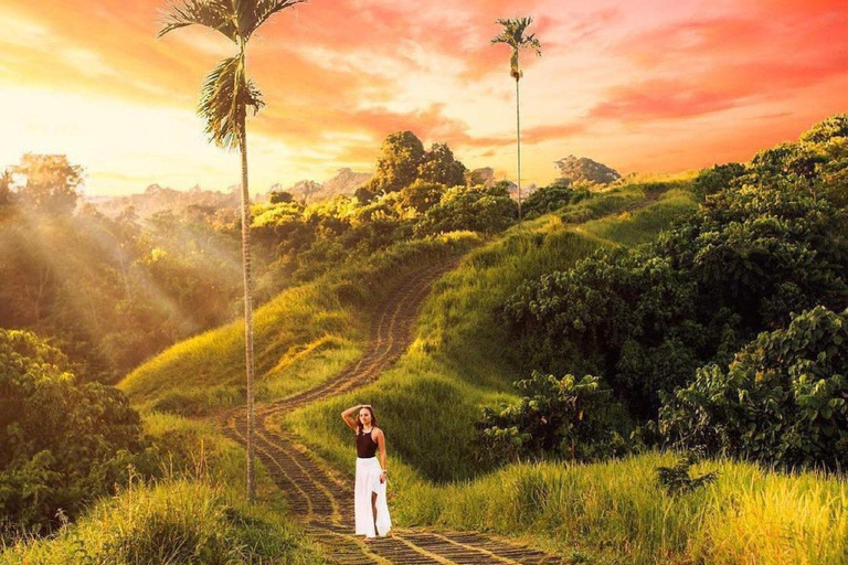 Ubud: Temple, Waterfall, Rice Terrace, Ubud Market & Palace Without entry tickets