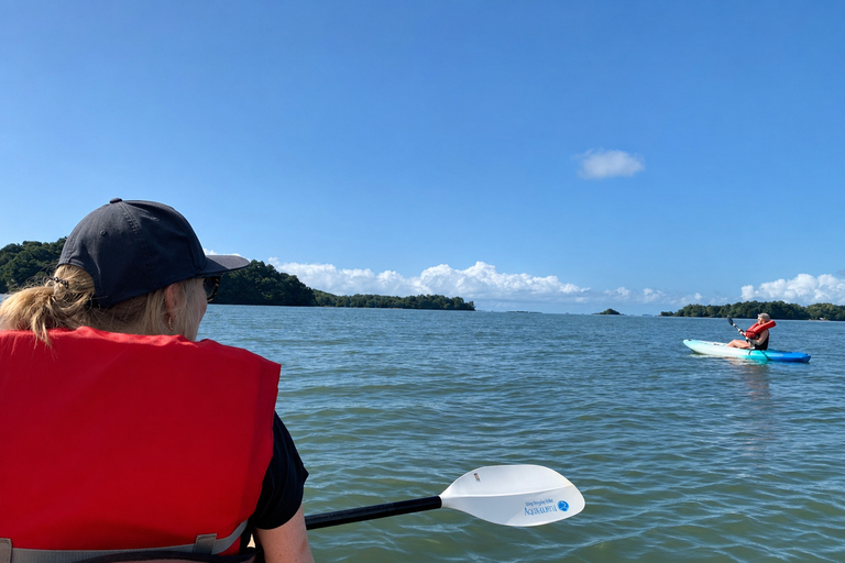 Boca Chica: Guided Kayak Tour and Seaside Breakfast
