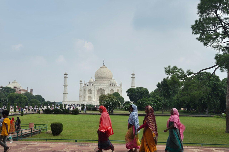 Vanuit Delhi: Taj Mahal dagtour per sneltrein met transfers1e klas treinwagon, auto, gids, toegangskaarten en lunch