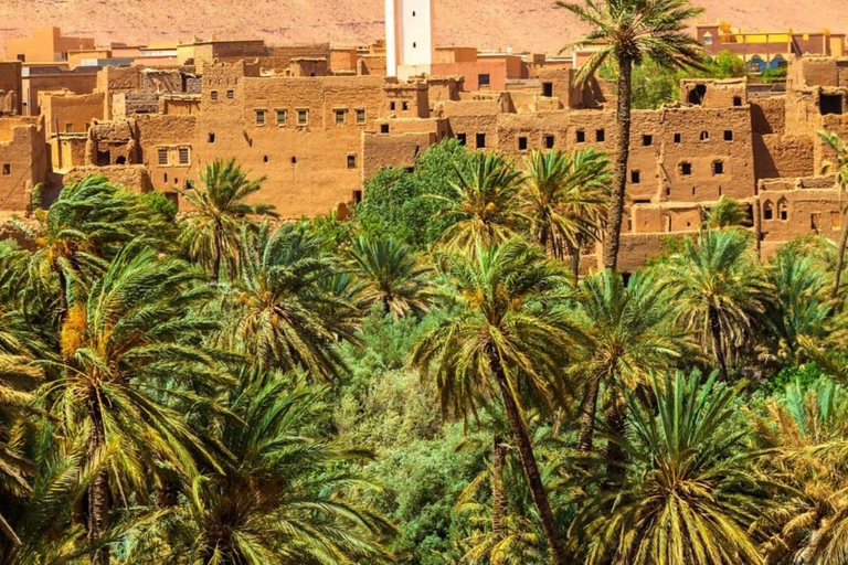 From Marrakech: 10-Day Morocco Highlights Tour