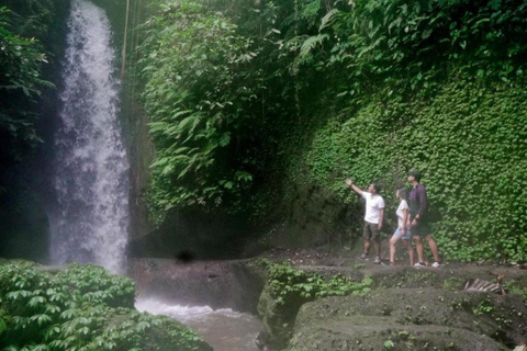Ubud: Tirta Empul Tempel, Rijstterrassen en Waterval Tour