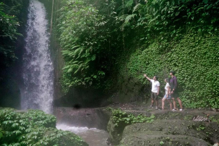 Ubud: Tirta Empul Tempel, Rijstterrassen en Waterval Tour