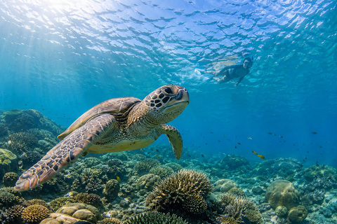 Gili Air: Private 4-Hour Snorkeling Tour