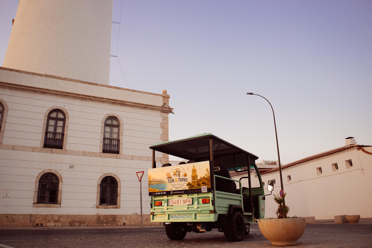 Málaga by Tuk Tuk: A Local's-Eye City Tour 1-Hour Highlights Tuk Tuk Tour