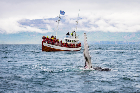 Ab Reykjavik: 6-tägige Tour über die isländische Ringstraße