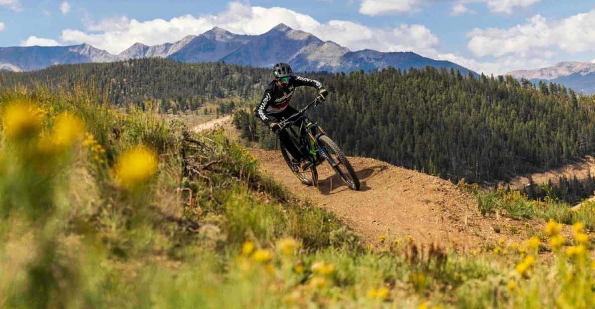 Colorado: Guided Mountain Bike Ride | GetYourGuide