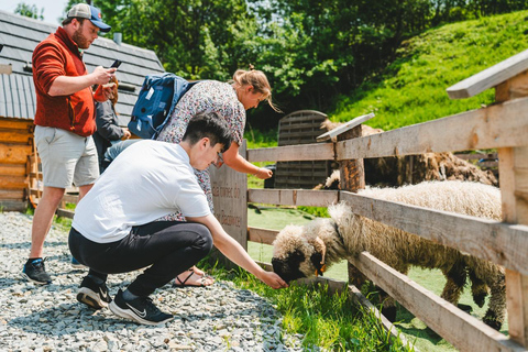 From Krakow: Zakopane Day Trip with Quad Biking, Hot Springs