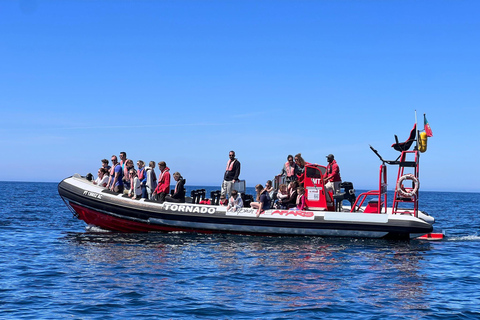 Lagos: Dolphin Watching and Benagil Caves Boat Tour