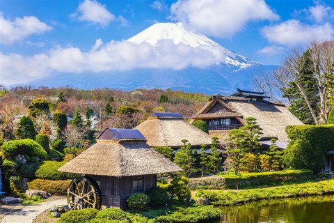 Tokyo:Cherry Blossom Mt Fuji & Shibazakura Festival Day Trip 07:30 Pick&Drop from Hotel/BnB