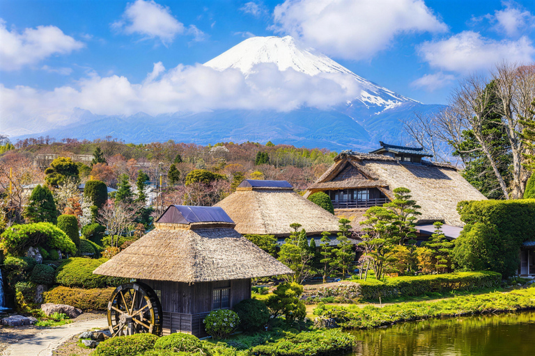 Tokyo:Cherry Blossom Mt Fuji & Shibazakura Festival Day Trip 07:30 Pick&Drop from Hotel/BnB