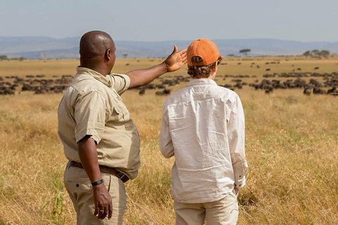 8天：塞伦盖蒂大迁徙