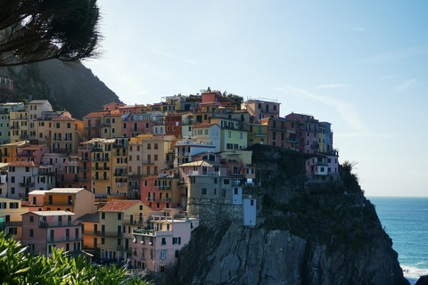 Z Florencji: Jednodniowa wycieczka w małej grupie do Cinque Terre i Pizy