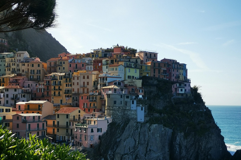 Da Firenze: Tour per piccoli gruppi di un giorno alle Cinque Terre e a Pisa