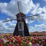 Amsterdam : Keukenhof, Villages, Fromage, Nature - Visite Privée