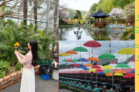 A partir de Seul: Begonia Bird Park, Rail Bike e Garden TourDongdaemun, 9h