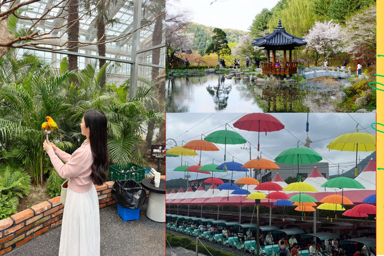 A partir de Seul: Begonia Bird Park, Rail Bike e Garden TourDongdaemun, 9h