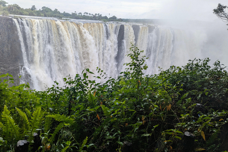 Victoria Falls: Guided Walking Tour with Local Guide