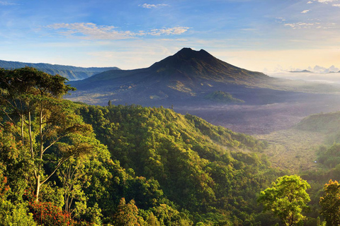 Zentral-Bali: Ubud Dorf, Reisterrasse und Kintamani TourBasic Tour (ohne Eintrittsgelder und Mahlzeiten)