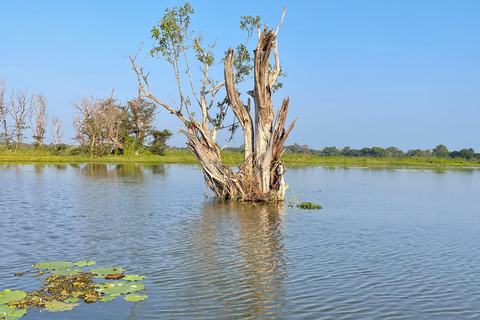 Habarana-Lake Eco-Adventure Boat Tour and Nature Walk