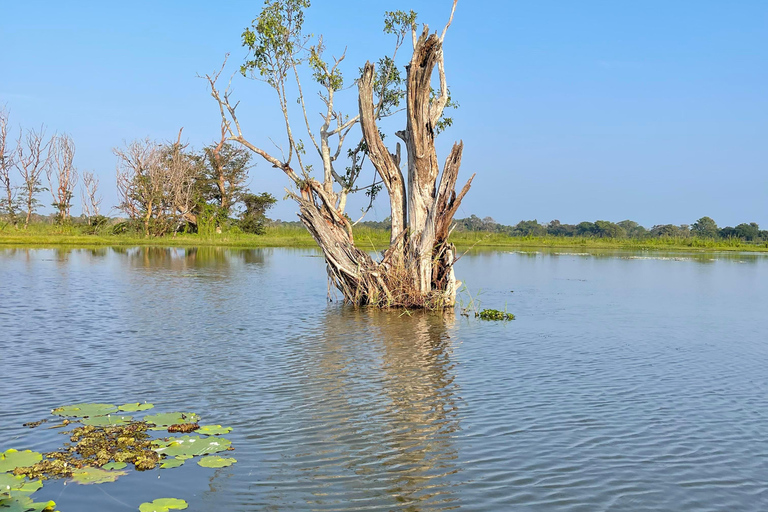 Habarana-Lake Eco-Adventure Boat Tour and Nature Walk