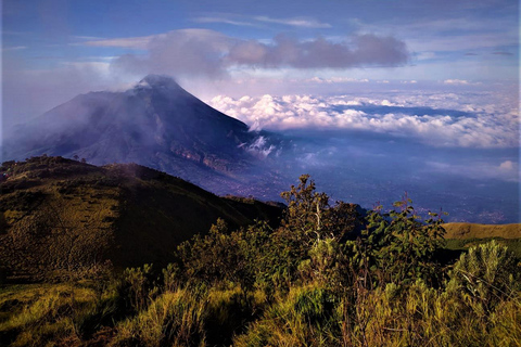 Von Yogyakarta aus: Berg Merbabu TageswanderungMount Merbabu Tageswanderung