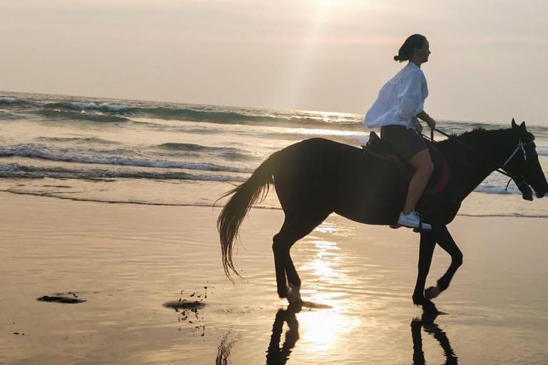 Bali: Paardrij tour op Seminyak strand inclusief vervoerBali: Paardrijden 1 uur Inclusief vervoer