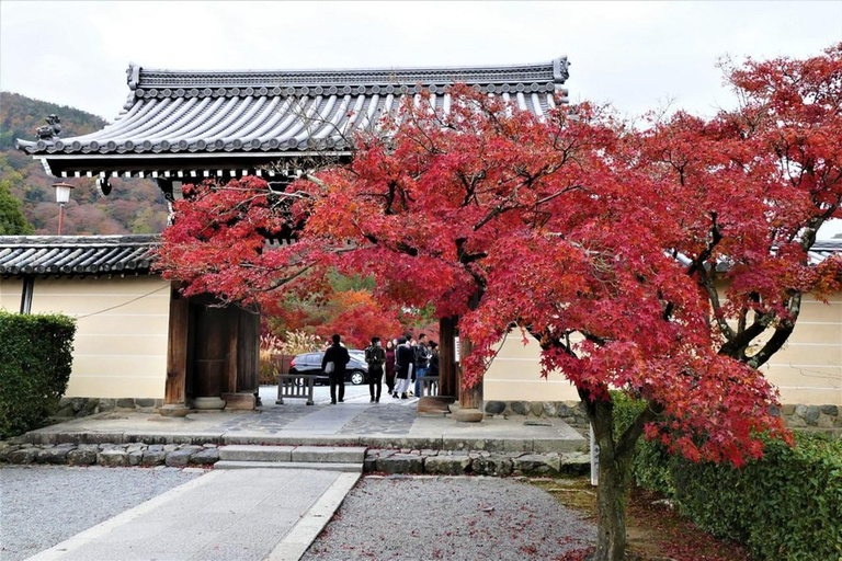 kyoto privat guidad tur med upphämtning