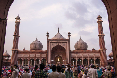 Au départ de Delhi : 3 jours de safari au léopard et visite du Triangle d&#039;OrVisite privée avec hébergement en hôtel 5 étoiles