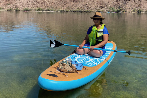 Plage de Willow : Location de paddle board