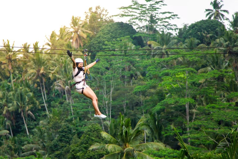 Ubud: Monkey Forest, Cretya Pool & Zipline Shared Tour Private Tour with Hotel Transfer - No Tickets