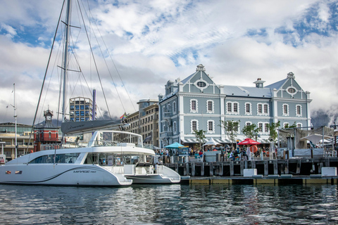 Cape Town: Robben Island Ticket With Ferry Check-in Help