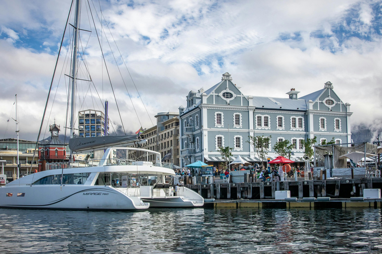 Cape Town: Robben Island Ticket With Ferry Check-in Help