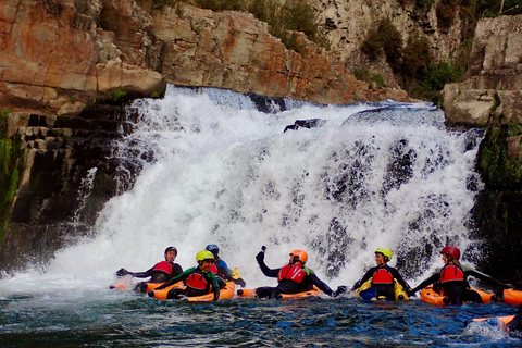 Thrilling Riverbug Adventure on the Rangitāiki River
