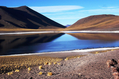 Driedubbele tour: Piedras Rojas + Altiplanic Lagoons + Chaxa Lagoon